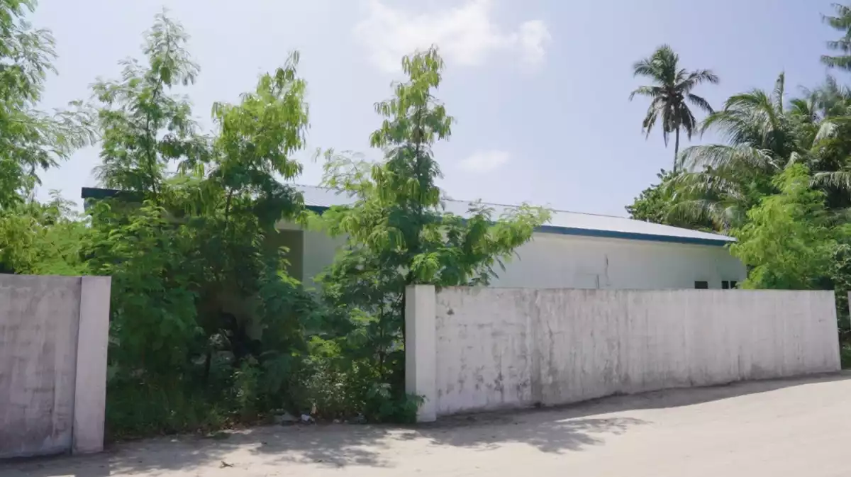 ފީއަލީ ފެން ޕަލާންޓު އިމާރާތުގައި ގަސް ހެދިފައި