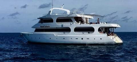 އައިލެންޑް ސަފާރީ