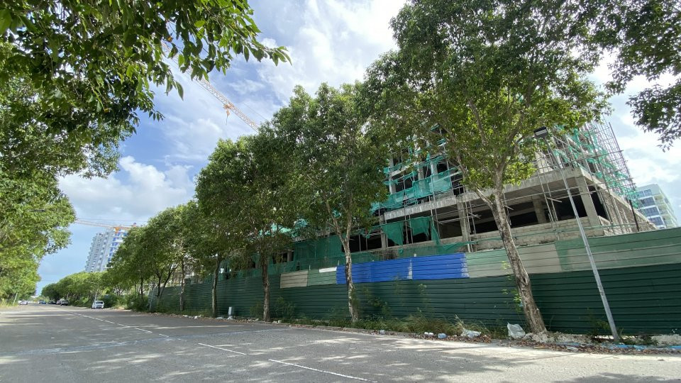 ހިޔާވަހި ހައުސިންގެ ޓަވަރުތައް