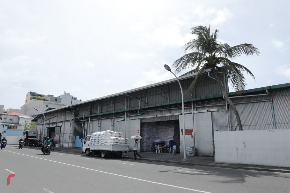 އެސްޓީއޯ ކާޑު ގުދަނުގައި މަސައްކަތްތެރިން ހަރަކާތްތެރިވަނީ -- ފޮޓޯ: ރާއްޖެ.އެމްވީ