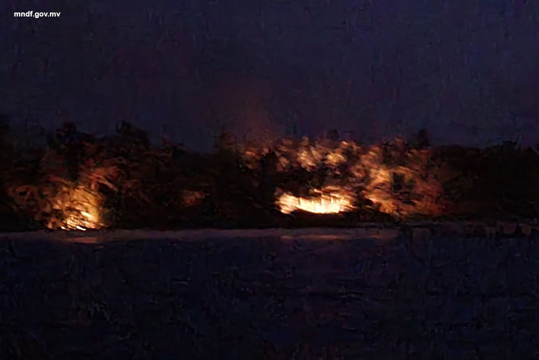 ލޮދުހުއްޓާގައި އަލިފާން ރޯވުން