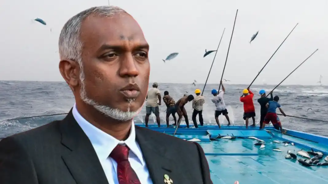 މިފްކޯ އިން މަސްވެރިންނަށް ވިއްކާ ޑީސަލްގެ އަގު ވަރަށް ބޮޑަށް ބޮޑުކޮށްފި