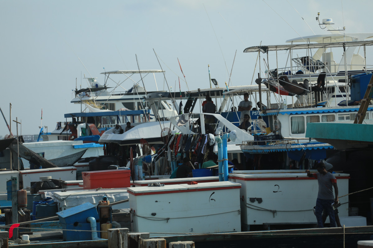 Fishing boat docked at Male\' City: Majority of exports include fish products