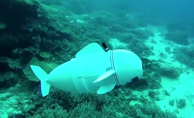 ބެލްގެ ނަމުން ނަންދީފައިވާ ރޮބޮޓް