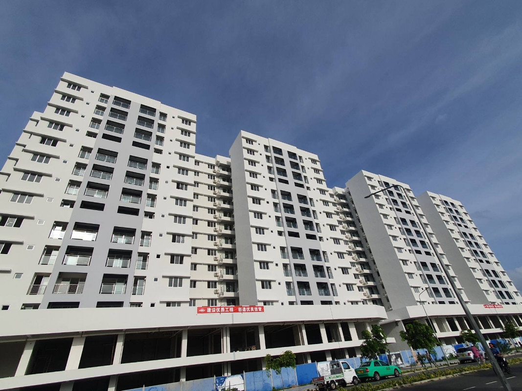 ވިނަރެސް ފްލެޓްތައް