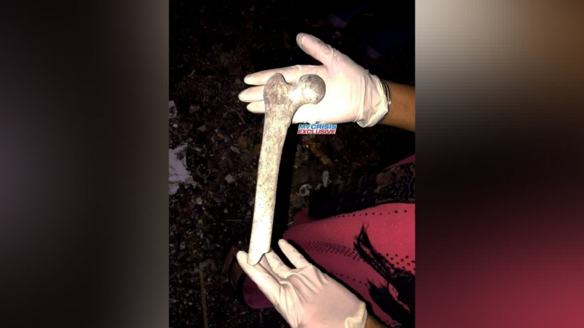 ދާންދޫ ކުނިގޮނޑުން ފެނުނު ކަށިގަނޑު