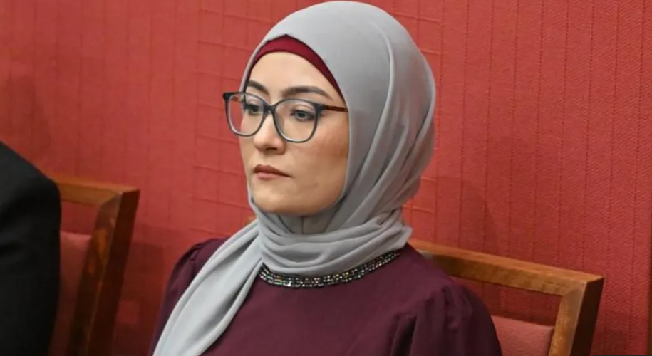 ފަލަސްޠީނަށް ދަޢުލަތެއްގެ ދަރަޖަ ދިނުމާ ބެހޭ ގޮތުން މަޖިލީހުން ގޮތް ނިންމުމަށް ކުރިއަށް ގެންދިޔަ ވޯޓުގައި، ފާޠިމާ ޕޭމަން ވޯޓު ދެއްވީ ލޭބަރ ޕާޓީގެ ޖަމާޢަތީ ފިކުރާ ޚިލާފަށް