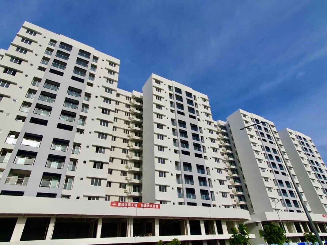 ވިނަރެސް ފްލެޓްތައް