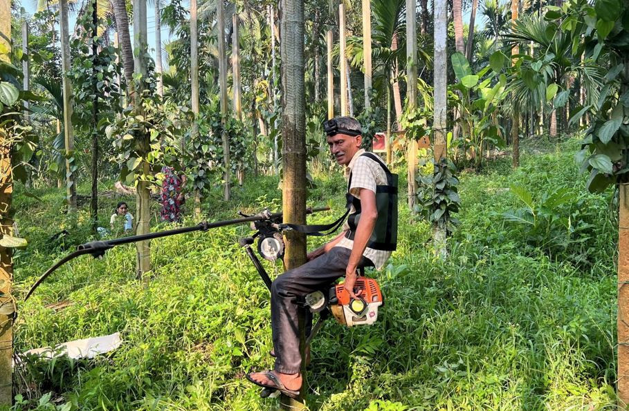 މި ސްކޫޓަރަށް ނަންދީފައިވަނީ "ޓްރީ ސްކޫޓަރު" ގެ ނަމުން