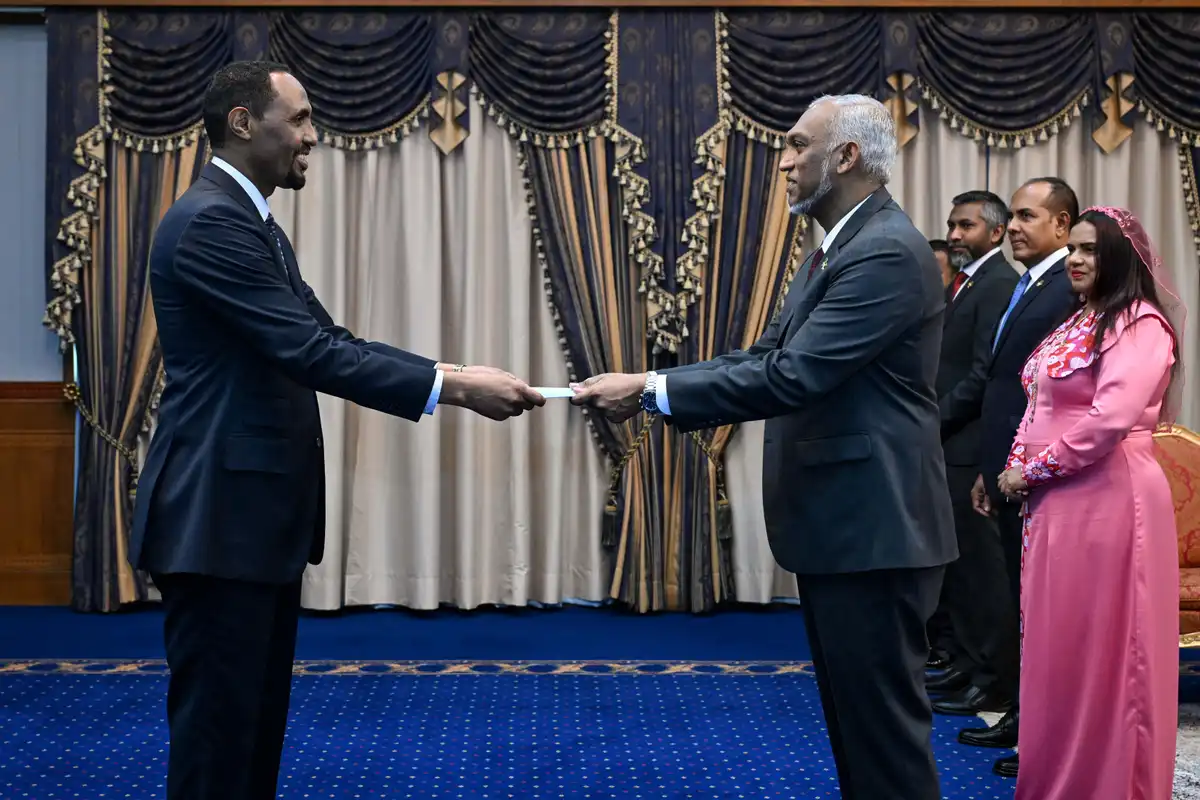 Somalia's new Ambassador presents credentials to the President