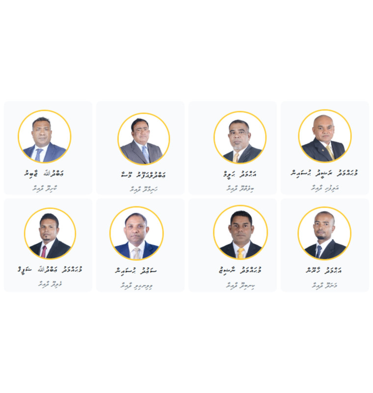 އެމްޑީޕީ ޕްރައިމަރީގައި ޓިކެޓް ކާމިޔާބުކުރެއްވި މެމްބަރުން