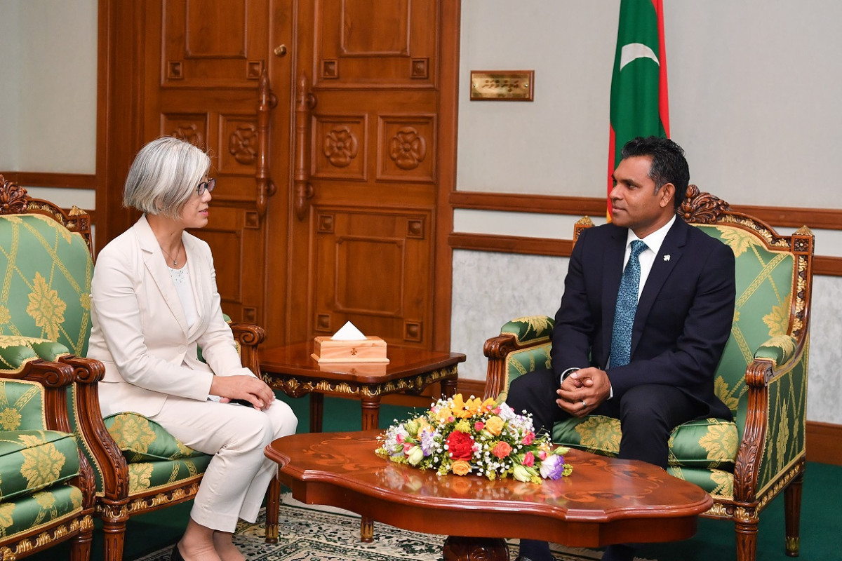 The Japanese Ambassador paid a courtesy call on VP Naseem on Monday