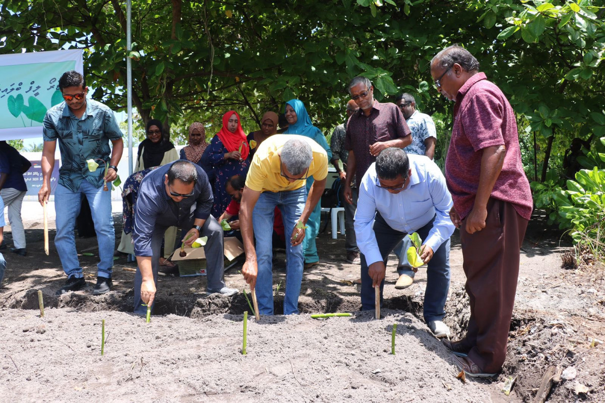 ކެންޔާގެ ގެނައި މުޑުވައް އިންދަނީ