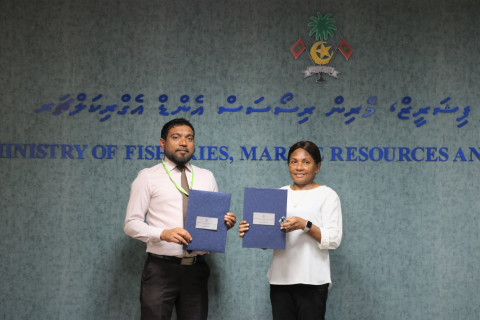 The Ministry of Fisheries Marine Resources and Agriculture has launched an agriculture program called "Maldives Agribusiness Program"