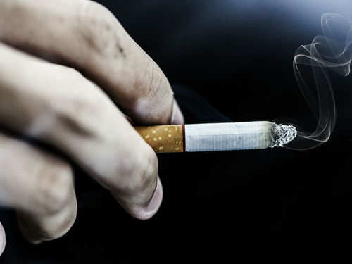 ސިނގިރޭޓާއި ބިޑިން ޑިއުޓީ ބޮޑު ކުރަނީ ދުންފަތުގެ އިސްތިޢުމާލުކުރުމުން ދުރުހެލިވެފައިވާ މުޖުތަމަޢަކަށް ހެދުމަށް ކަމަށް ވަނީ ބުނެފައި