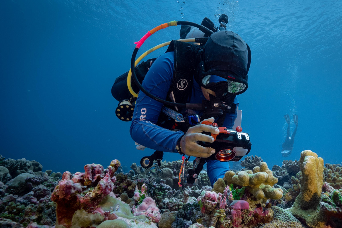 ނޭޝަނަލް ޖިއޮގްރަފިކްގެ ޕްރިސްޓީން ސީސްއިން ރާއްޖޭގައި ކުރިޔަށްގެންދާ ސައިންޓިފިކް އެކްސްޕެޑިޝަންގައި ބައިވެރިވި ނޫރާއްޖޭގެ ސައިންޓިސްޓް