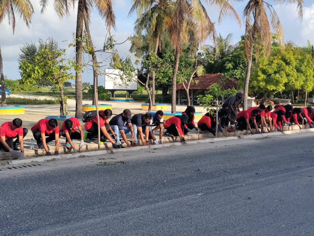 ގަސްއިންދުމުގެ ހަރަކާތުގެ ތެރެއިން