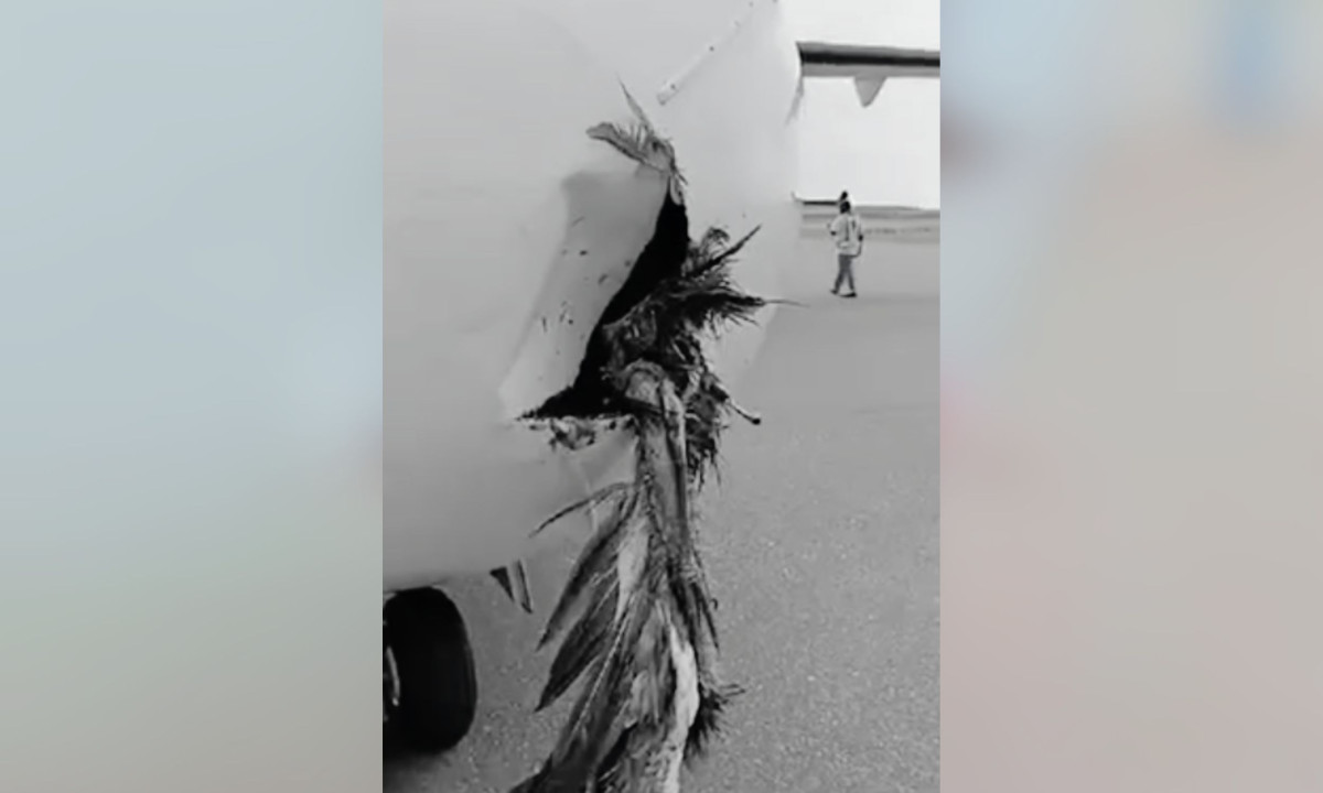 މަންޓާ އެއާގެ ބޯޓު