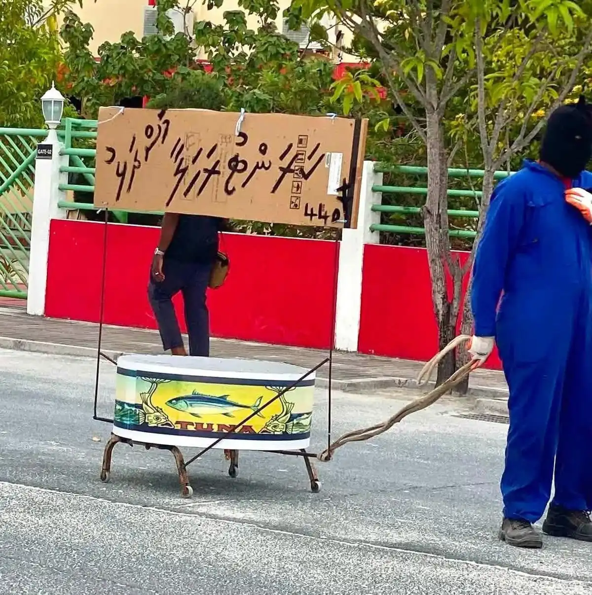އަޟްހާ އީދާ ގުޅިގެން ކޮންމެ އަހަރަކު ވެސް ކުޅުދުއްފުށިން ނެރޭ ''މަށިމާލި ޕެރޭޑުން'' ވަނީ ކަރަންޓު ރަހަލާ މަސްދަޅު ފެނިފައި.