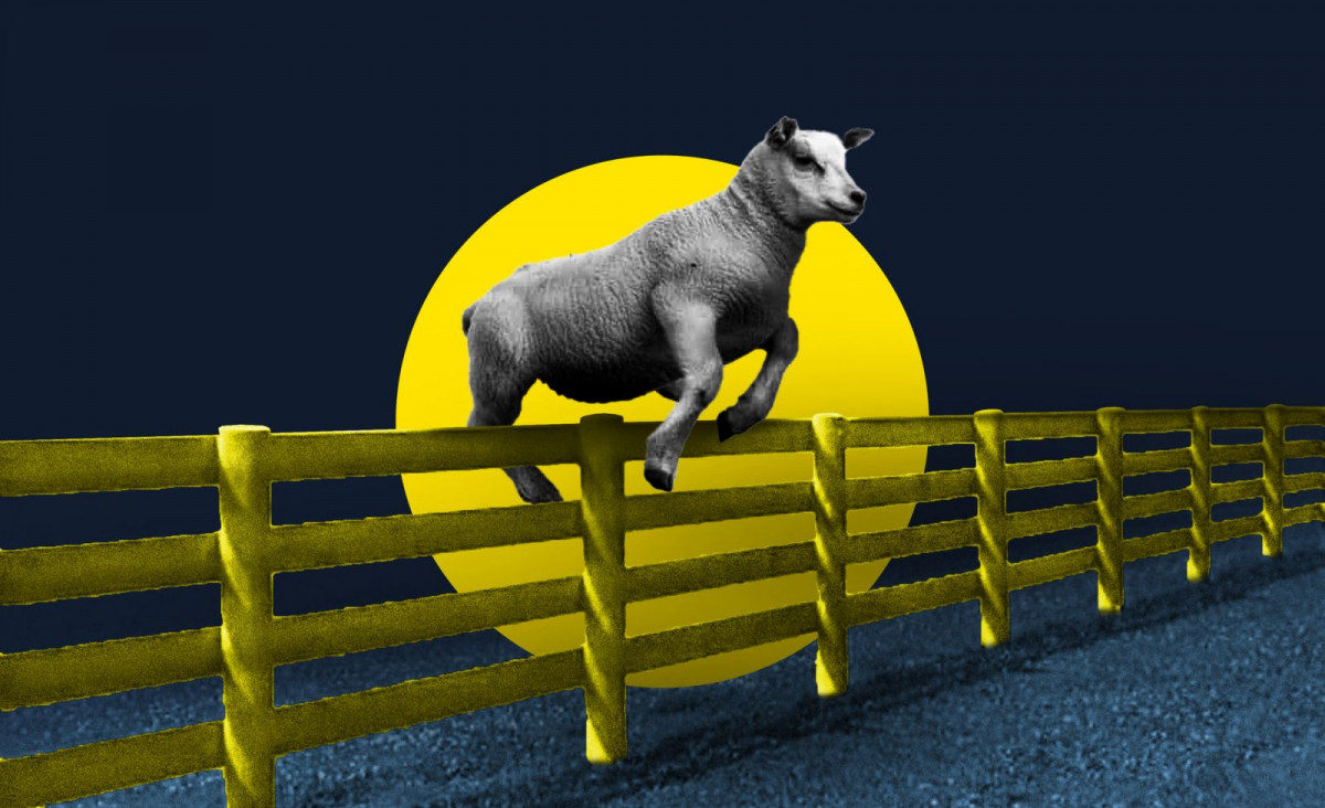 އެއްފުޅައްމަތިިން ފުންމާލި ބަކަރި އަނެއް ފުޅައް މަތިންވެސް ފުންމާލާނެ ކަމަށް ކުރީގެ މިސާލުބަހެއްގައި ބުނެ އުޅޭ