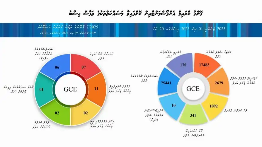 ގޭންގް ކުށްތައް ހުއްޓުވުމަށް ކޮށްފައިވާ މަސައްކަތްތައް