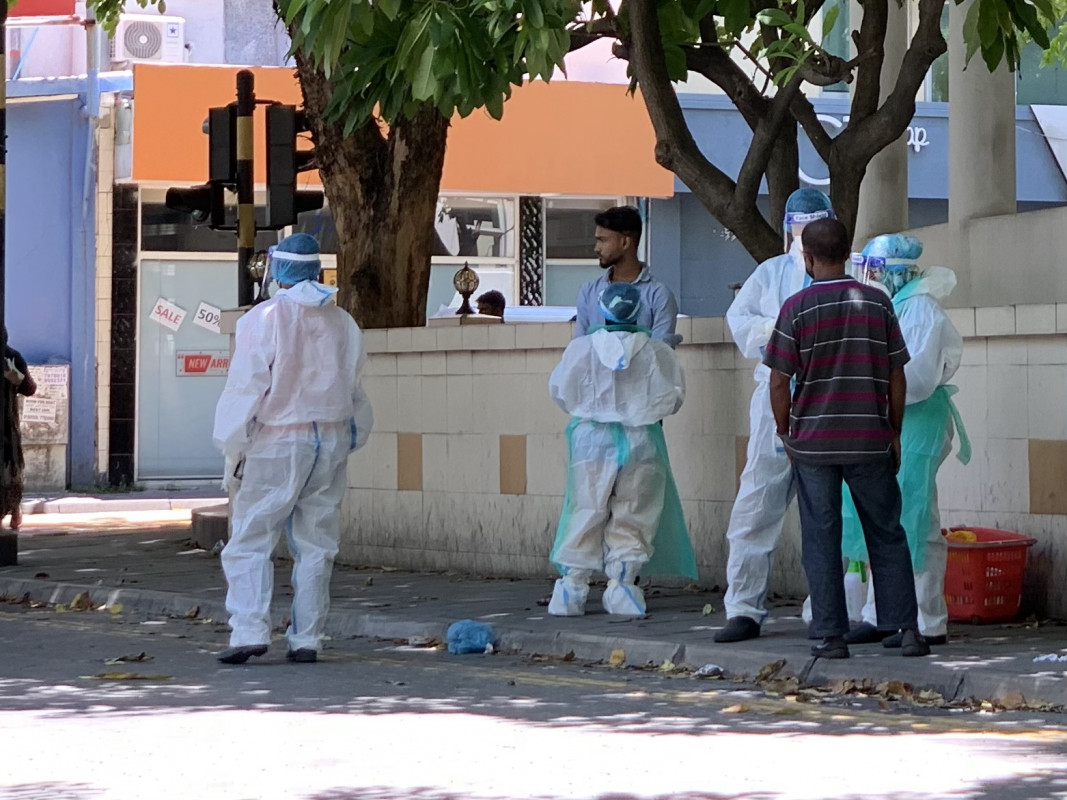 ކޮވިޑް-19 އަށް ސާމްޕަލް ނަގަނީ