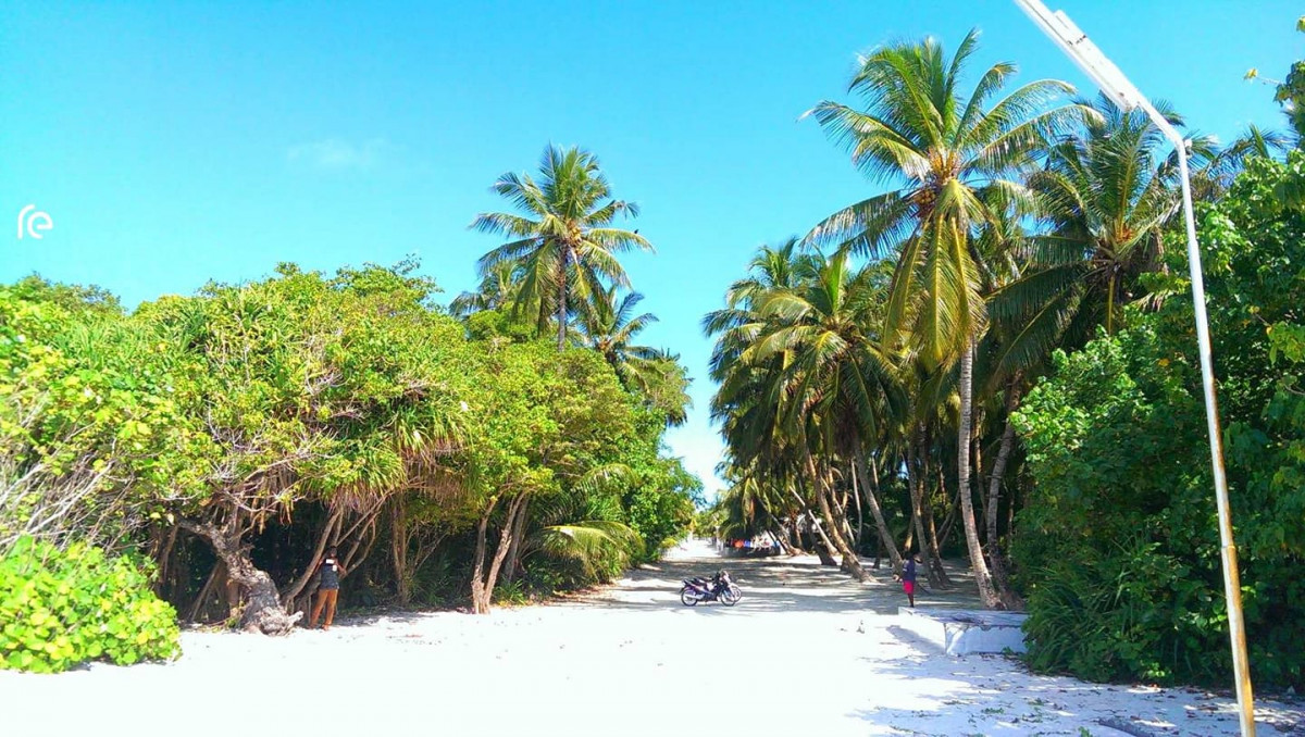 ށ. ނަރުދޫ މަގެއްގެ މަތި