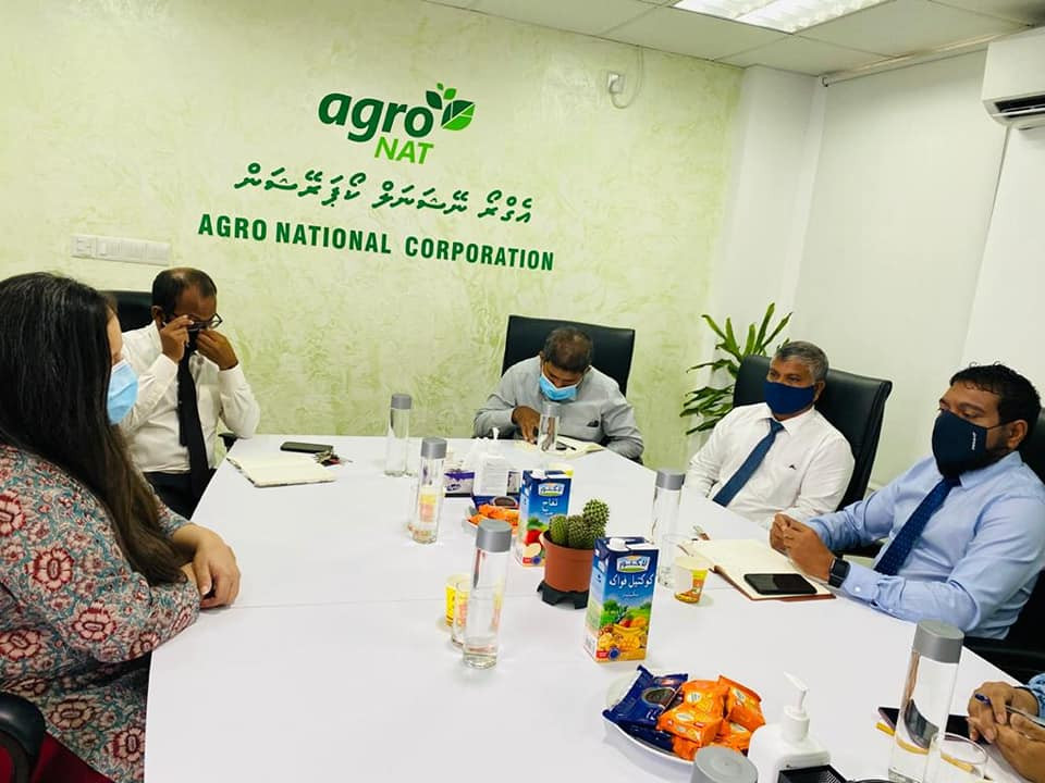 އެގްރޯނެޓް އާއި އިފާޑްއާއި ދެމެދު ބޭއްވި ބައްދަލުވުމުގެ ތެރެއިން