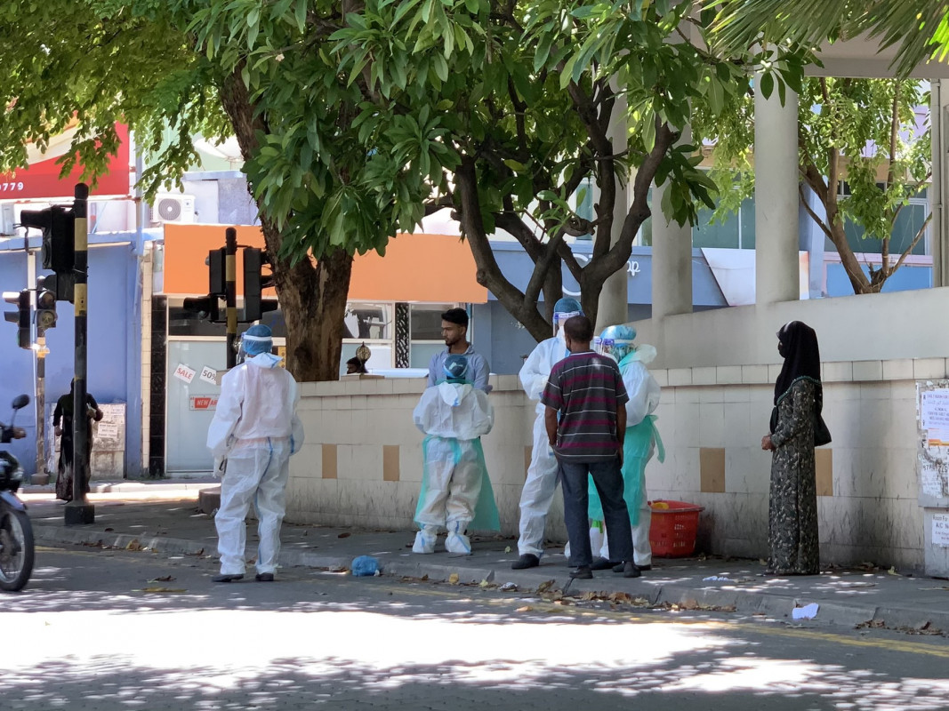 ކޮވިޑް-19 އަށް ސާމަޕްލް ނަގަނީ