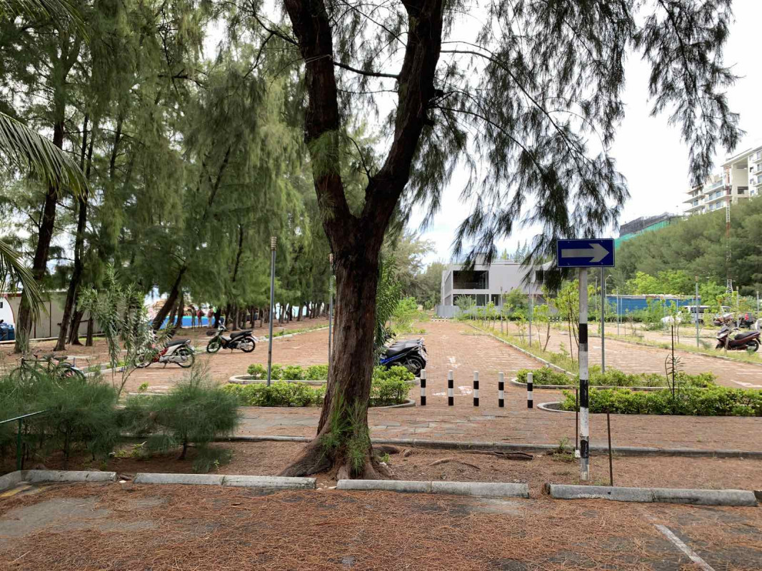 ހުޅުމާލެ ފެރީ ޓާމިނަލް ޕާކް ސަރަހައްދު - ފިތިރޯނު ގަސްތަކުގެ ފަތްތައް ވެރި، ސަރަހައްދުގެ މަގުތަކުގެ ކުލަ ވަނީ ބަދަލުކޮށްލާފަ -- ފޮޓޯ: ރާއްޖެ.އެމްވީ