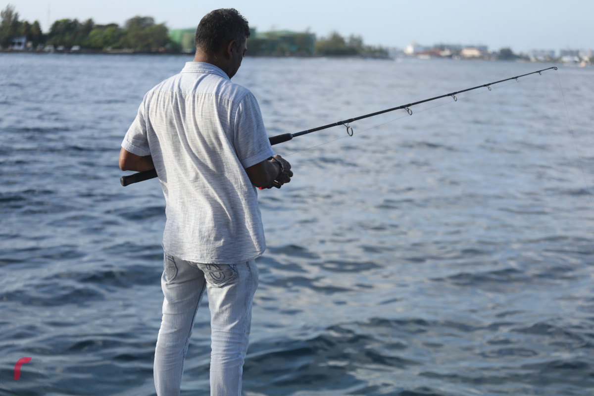 25 މެއި 2019 -- މަސްވެރިންގެ ޕާކުގެ ފާލަން މަތީގައި މީހަކު މަސް ބާނަނީ-- ފޮޓޯ: ޝުއައިބް މުހައްމަދު