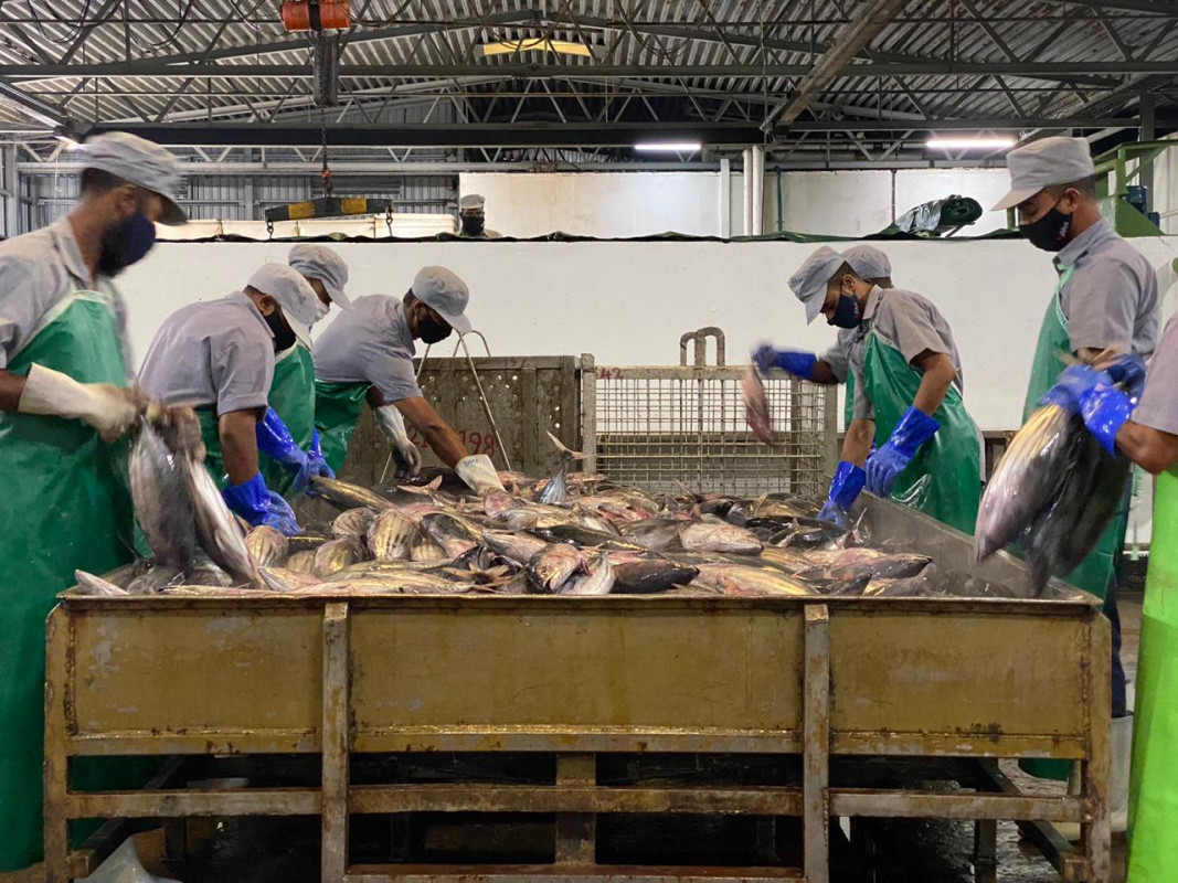 ޅ. ފެލިވަރުގައި ހުންނަ ދަޅުމަސް ބަންދުކުރާ ކާރުޚާނާ