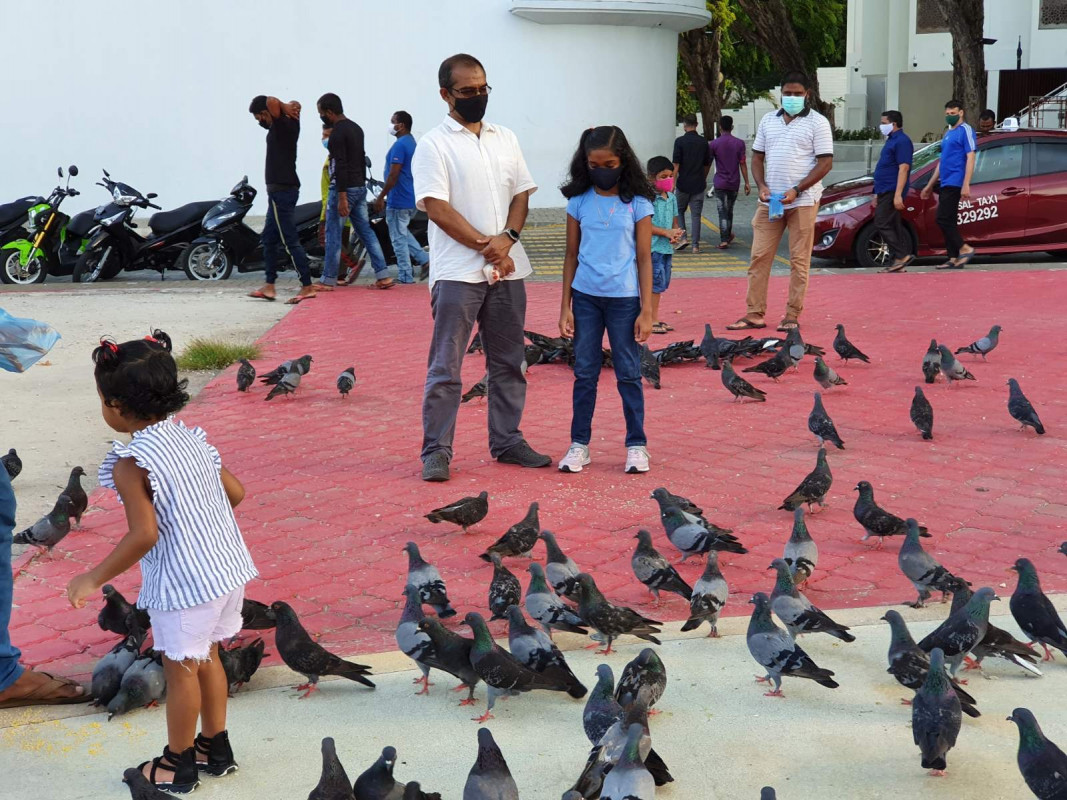 ޖުމްހޫރީ މައިދާނުގައި އުޅެމުންދާ ކޮތަރުތަކަށް ބަލަހައްޓައިގެން ކުޑަކުދިން ބެލެނެވެރިންނާއި އެކު - މިއީ މާލެ ލޮކްޑައުން ނުކުރާއިރު ގިނަ އަދަދެއްގެ ބިދޭސީންނާއި ކުޑަކުދިން ހިތް އުފާ ކުރަމުން އަންނަ މައިޒާނެއް - ފޮޓޯ: ރާއްޖެއެމްވީ