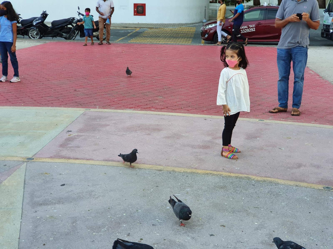 ޖުމްހޫރީ މައިދާނުގައި ކުޑަ ކުއްޖަކު ހުއްޓިލައިގެން - މާލެ ސަރަހައްދު ލޮކްޑައުން ކުރުމާއި އެކު މި ސަރަހައްދު ފެނިގެން ދިއައީ ފަޅުކޮށް -  ފޮޓޯ: ރާއްޖެއެމްވީ