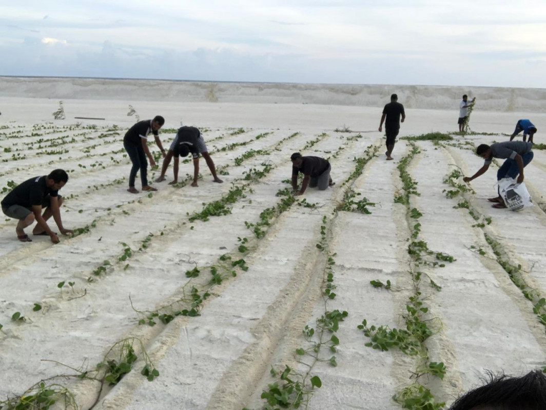 ހޯރަފުށި އެއަރޕޯޓް ފެހިކުރުމުގެ މަސައްކަތުގެ ތެރެއިން - ހޯރަފުށީގައި އެއަރޕޯޓް ތަރައްޤީކޮށް ނިމުމާއި އެކު ރާއްޖޭގެ އެންމެ އުތުރަށް ދަތުރު ކުރުމަށް ލުއި ފަސޭހަކަން ލިބިގެންދާނެ -- ފޮޓޯ: ހޯރަފުށި ކައުންސިލް