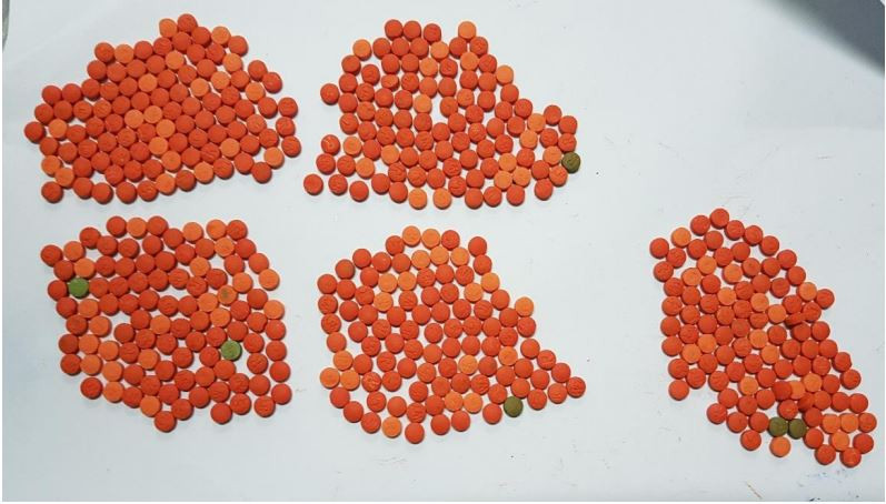 ބަންގަލަދޭޝް އިން ރާއްޖެ އައި މީހާގެ ލަގޭޖުން ފެނުނު މަސްތުވާތަކެތި