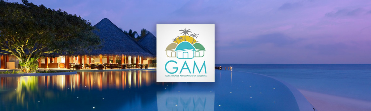 2014 ވަނަ އަހަރުން ފެށިގެން ގޭމްއިން އަކީ ހިލޭ ސާބަހަށް މަސައްކަތް ކުރަމުންދާ ޖަމިއްޔާއެއް