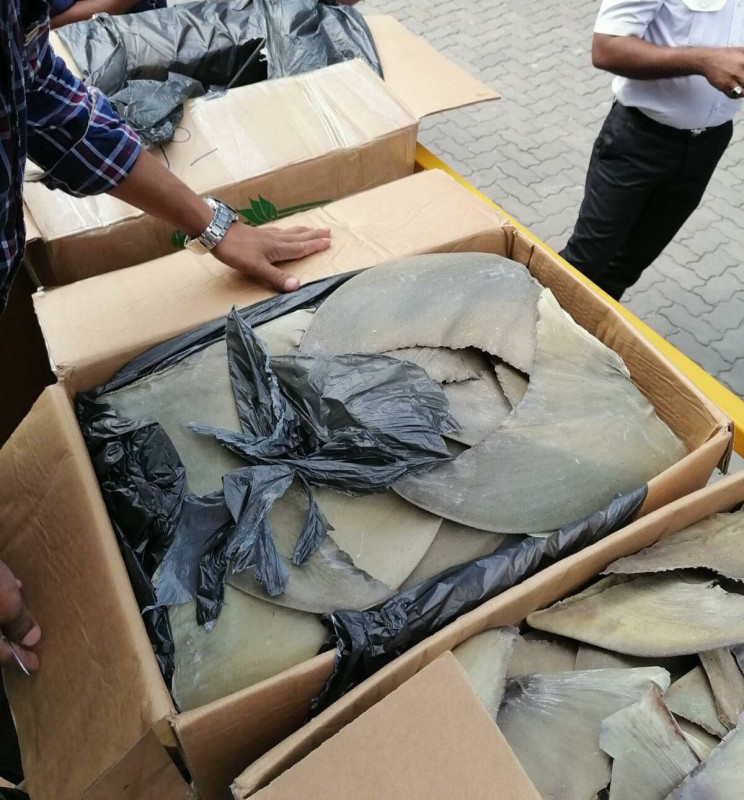 ރާއްޖެއިން ބޭރުކުރަން އުޅުނު ގިނަ އަދަދެއްގެ މިޔަރު އުރަހަ އަތުލައިގަތުން