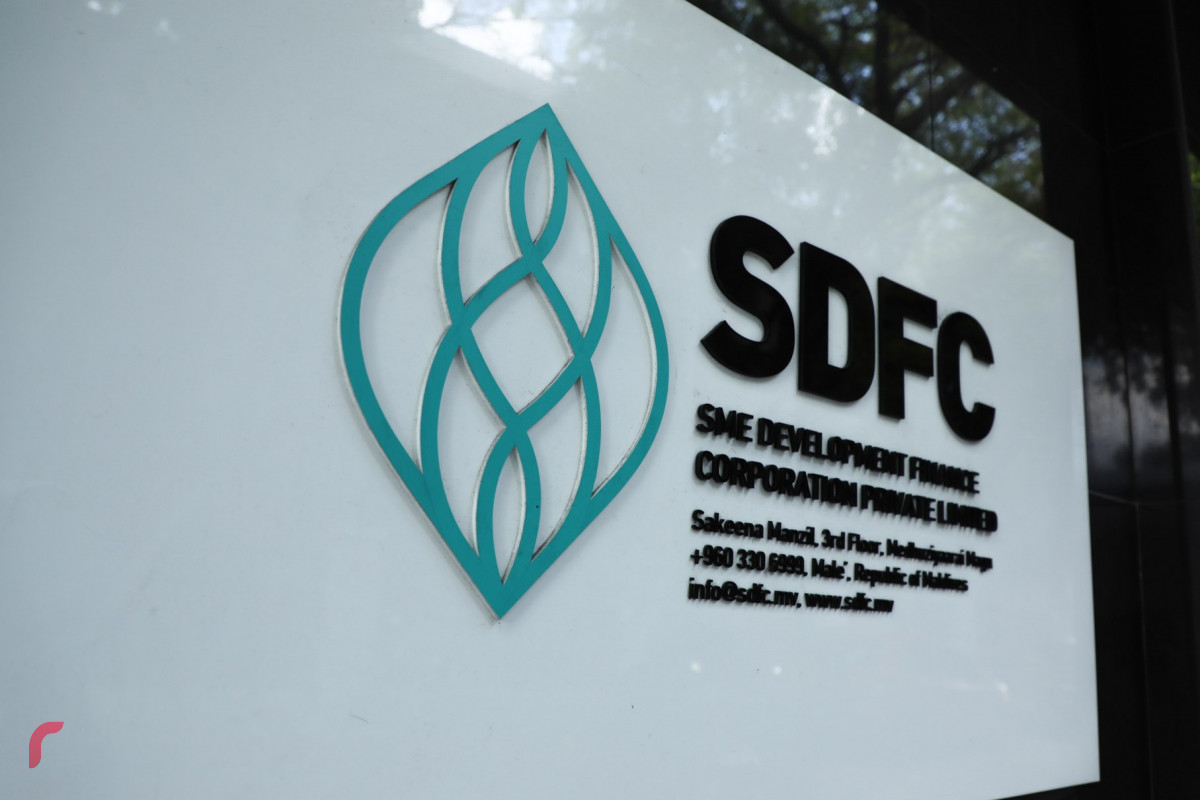 އެސްއެމްއީ ޑިވެލޮޕްމެންޓް ފައިނޭންސް ކޯޕަރޭޝަން (އެސްޑީއެފްސީ)