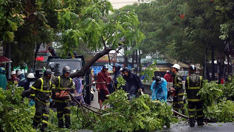 ގިނައަދަދެއްގެ ގަސްތައް ބިންމައްޗަށް ވެއްޓުމުގެ ސަބަބުން ބެހާއީ ސިޓީގައި ވަނީ އެއްގަމުގެ ދަތުރުފަތުރަށް ބުރޫއަރާފަ