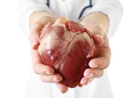 ހިތް- ތިބާގެ ހަށިގަނޑުގައިވާ އެންމެ ނާޒުކު ގުނަވަން