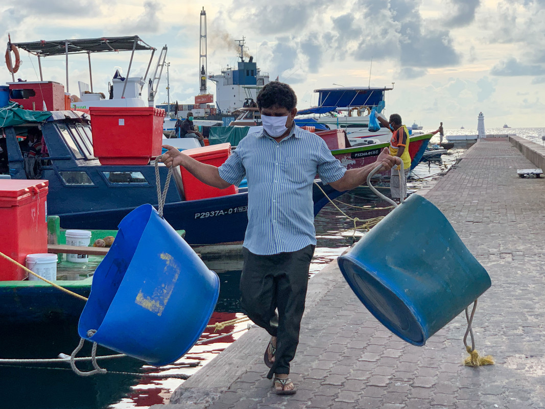 މާރުކޭޓް ސަރަހައްދު ބަނދަރުމަތިން މީހަކު މަސްއަޅާ ދެ ޓައްޕު ހިފައިގެން - މިއީ މަސް އެޅުމަށް ބޭނުންކުރާ އެއްޗެއް -- ފޮޓޯ: ރާއްޖެއެމްވީ