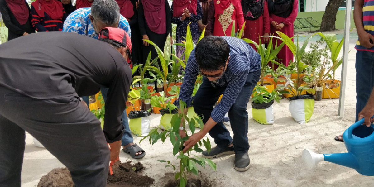 28 ޖުލައި 2019 --ހޯރަފުށި ދާއިރާގެ މެމްބަރު އަހުމަދު ސަލީމް ގަސް އިނަދަވަނީ-- ފޮޓޯ: ރާއްޖެ.އެމް