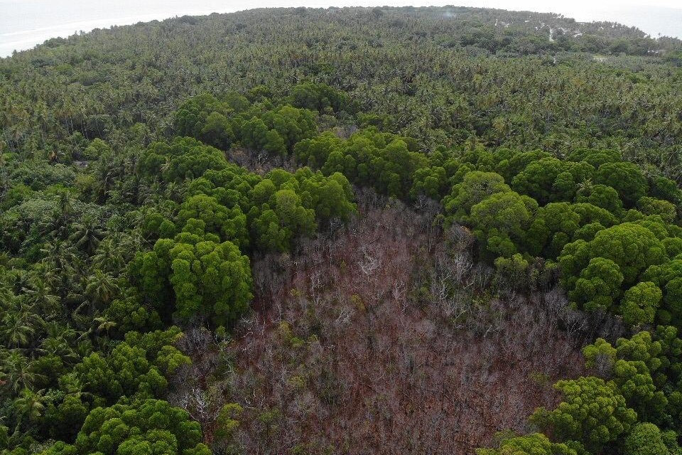 ހދ. ވައިކަރަދޫ