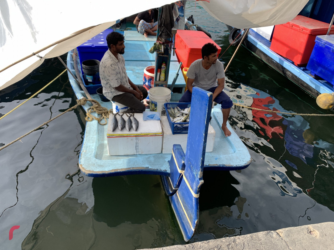 މާރުކޭޓް ސަރަހައްދުގައި އޮތް ދޯންޏަކުން މަސް ވިއްކަނީ - ކަނޑުމަސް ލިބުނު ނަމަވެސް، ފަރުމަސް ލިބެން ހުންނަނީ ވަރަށް މަދުން