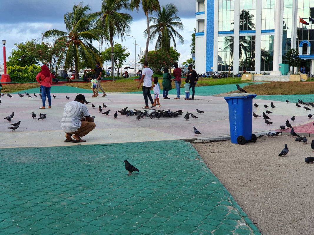 ޖުމްހޫރީ މައިދާން - ކޮތަރުތަކާއި އެކު ފޮޓޯ ނެގުމާއި ކޮތަރުތަށް އުޅޭ ގޮތް ބެލުމަށް ކުޑަކުދިން ގޮވައިގެން ބެލެނެވެރިން އަންނަ އެއް މައިޒާނަކީ މިއީ - ފޮޓޯ: ރާއްޖެއެމްވީ