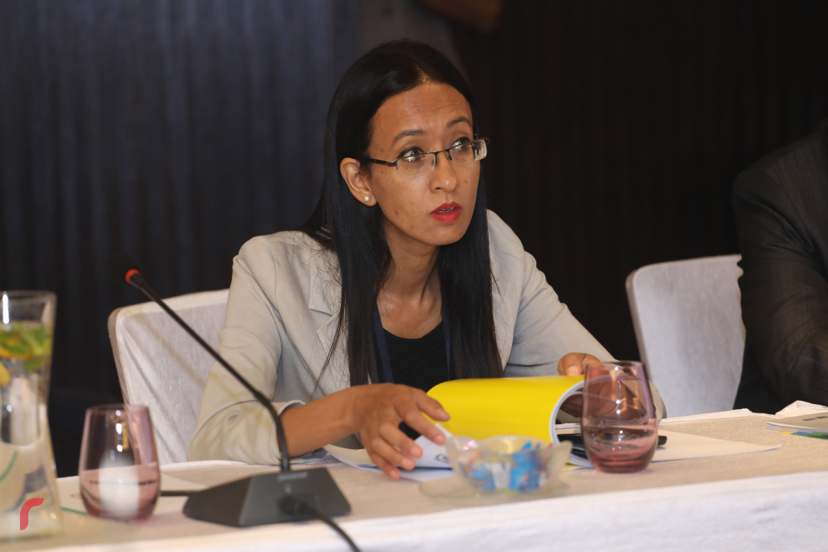 10 ޖޫން 2019 --ސާކް ކައުންސިލް އޮފް އެކްސްޕަރޓްސް އޮފް އެނާރޖީ ރެގިއުލޭޓަރސްގެ 4 ވަނަ ބައްދަލުވުން، މި ބައްދަލުވުން ޝަރަފްވެރި ކޮށްދެއްވީ އިކޮނޮމިކް މިނިސްޓަރ ފައްޔާޒް އިސްމާއިލް-- ފޮޓޯ: ޝުއައިބް މުހައްމަދު