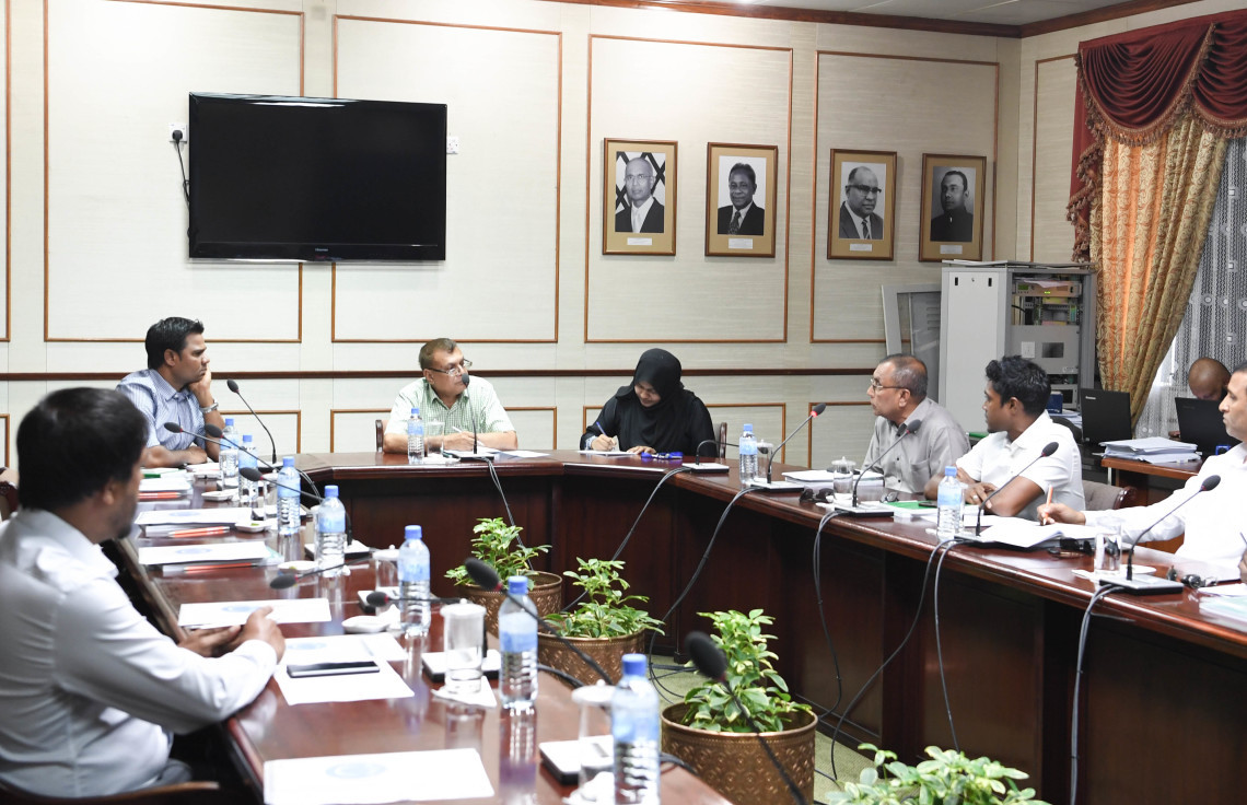 Parliament Committee on National Security and Foreign Relations