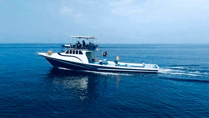 ފ ބިލެއްދޫގައި ފާނަ މަސްވެރިކަން ކުރާ ގުރުވަ ދޯނި- އެހެން ދޯނިތަކުގެ މަސް ހިފައިގެން ދަނީ