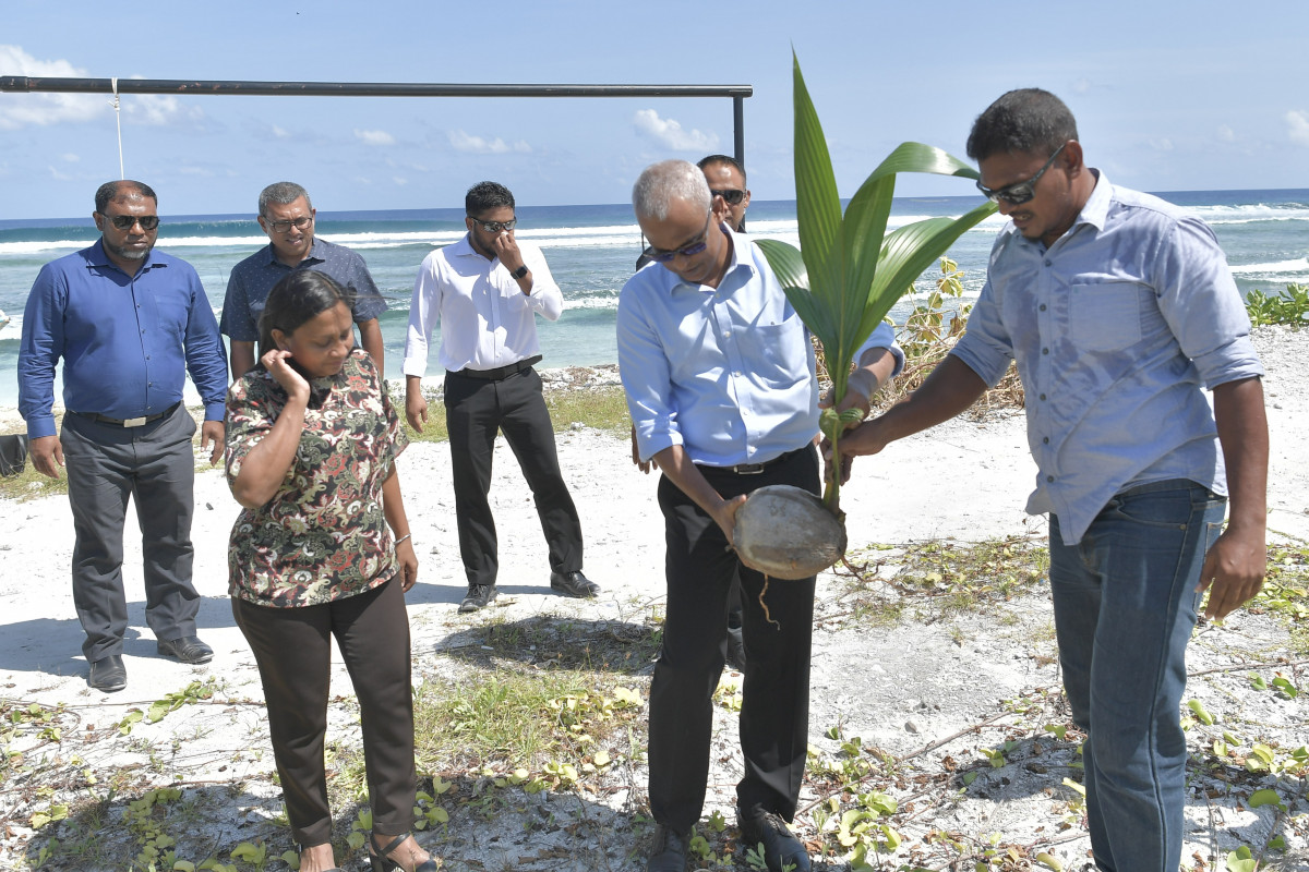 13 ޖުލައި 2019 --ރައީސް ތިނަދޫ ރައްޔިތުން ކުރިޔަށްގެންދާ ގަސްއިންދުމުގެ ޕްރޮގްރާމްގައި ބައިވެރިވެ ގަސްއިންދަވަނީ-- ފޮޓޯ: ރައީސް އޮފީސް